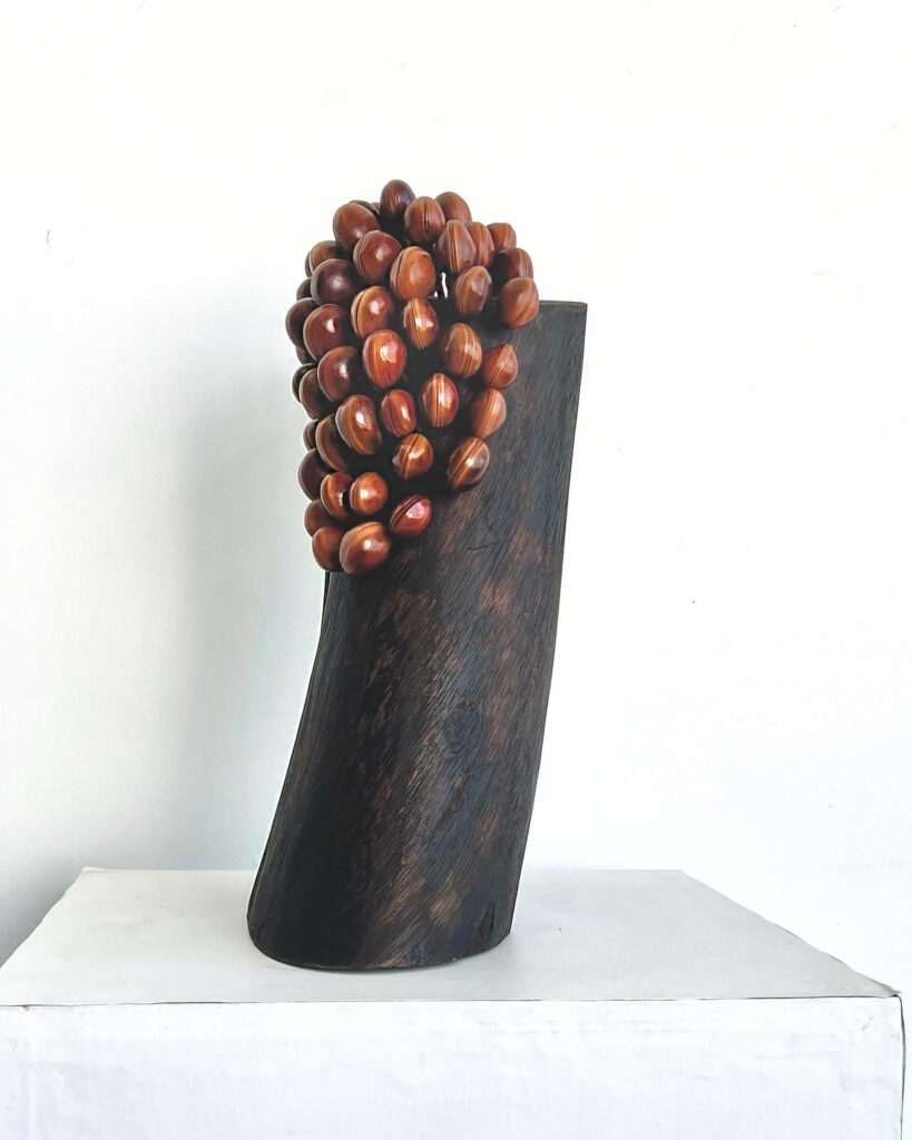 Obra de arte de Julio Primeiro