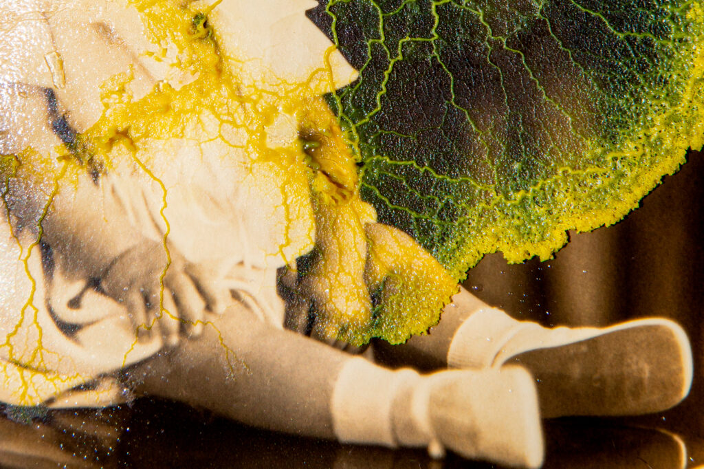 Obra de arte de Roberta Stamato