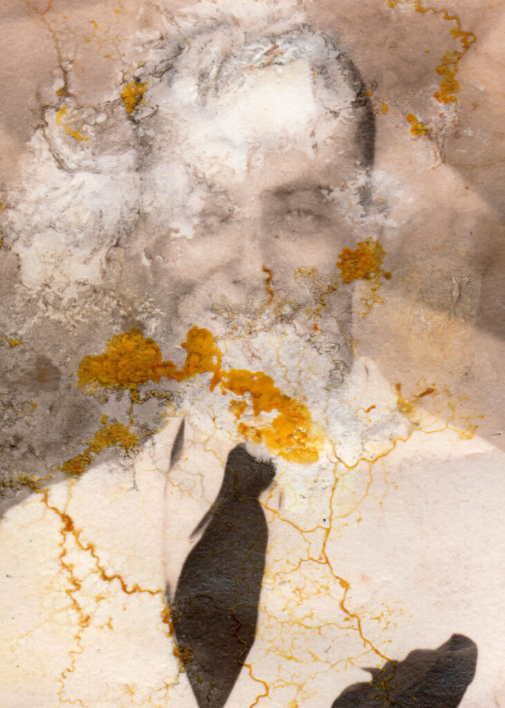 Obra de arte de Roberta Stamato