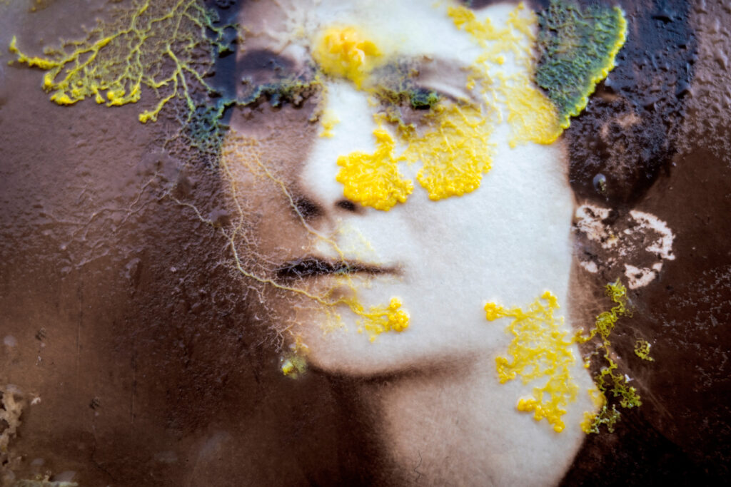 Obra de arte de Roberta Stamato