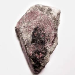 Obra de arte de Mariana Werneck - Simbiosis I, 2019 - 2024 - Fotografia sobre pedra