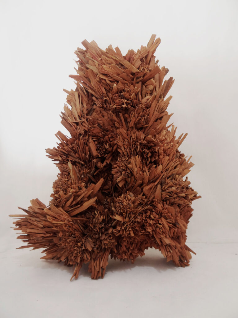 Obra de arte de João Paulo Paixão - Matéria e Memória I - Madeira de demolição e cola