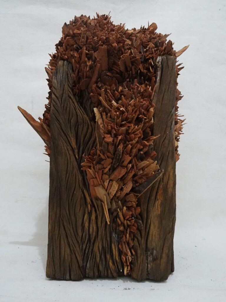 Obra de arte de João Paulo Paixão