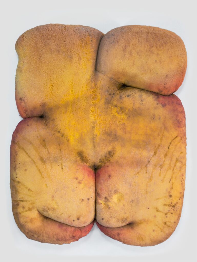 Obra de arte de Thais Borducchi