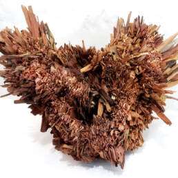 Obra de arte de João Paulo Paixão - Matéria e Memória II - Madeira de demolição e cola