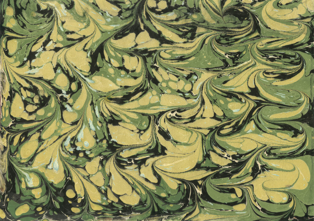 Obra de arte de Amanda Colangelo