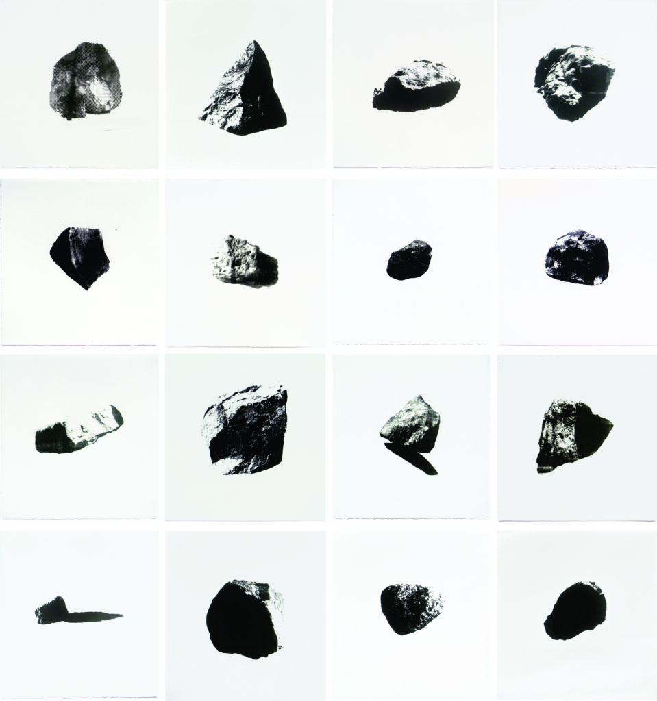 Obra de arte de Lailà Terra