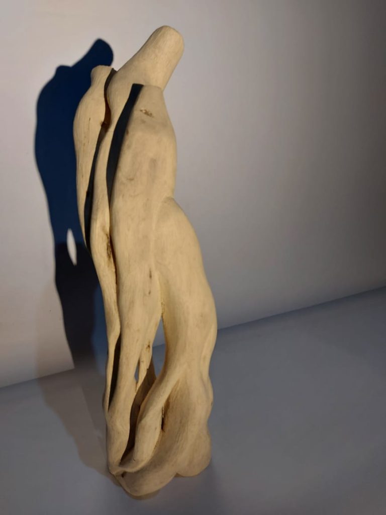 Obra de arte de Francelino Mesquita