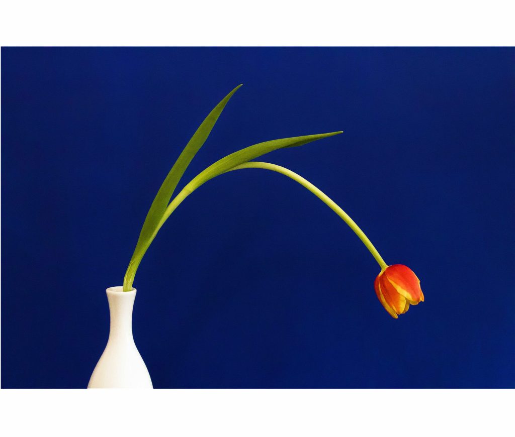 Obra de arte de Conrado Krainer