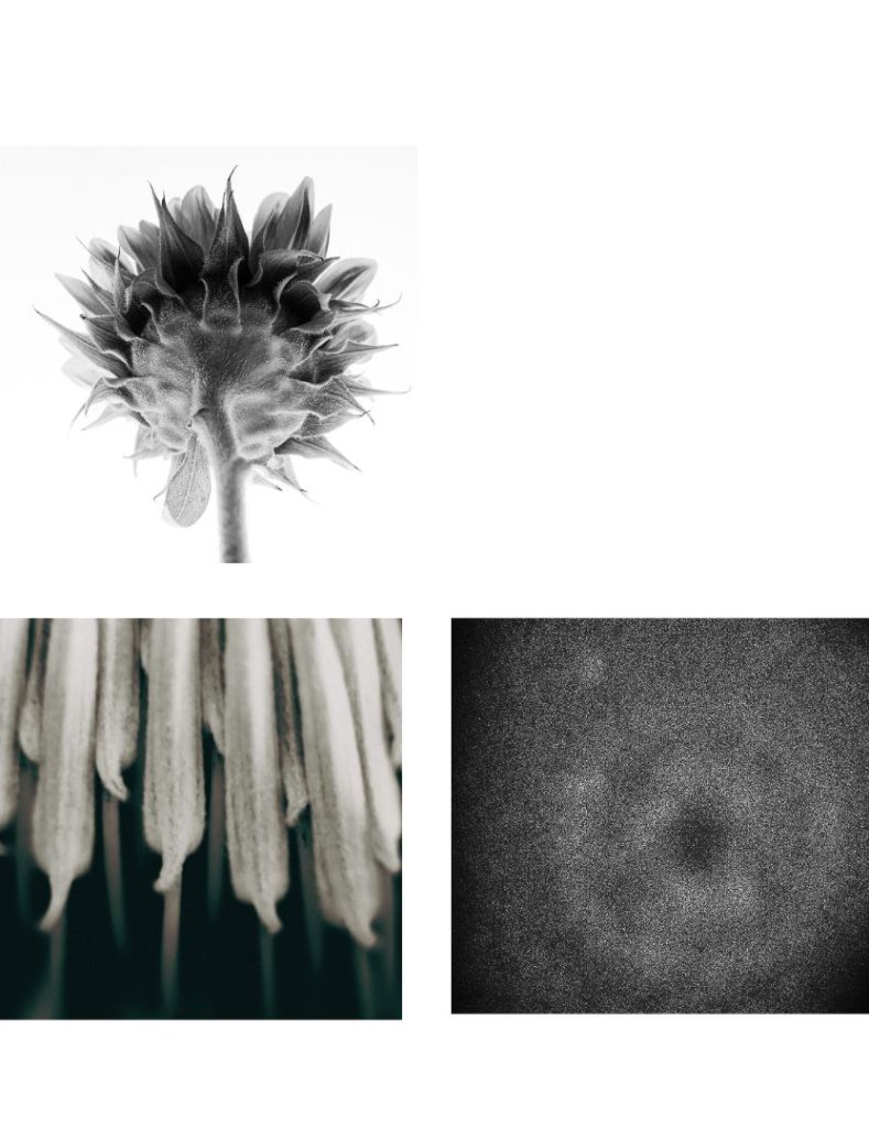 Obra de arte de Conrado Krainer